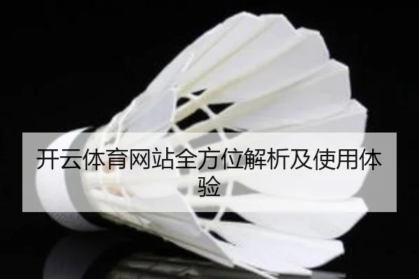 开云体育网站全方位解析及使用体验